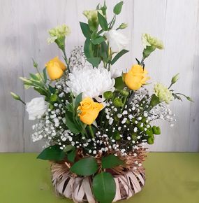 Yellow roses bird nest