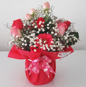 Pretty Pink Pot with 10 roses and Gerberas