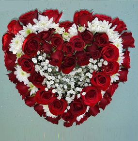 50 Red Roses in a heart shape